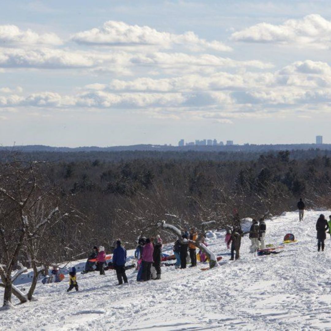 Ward Hill Reservation